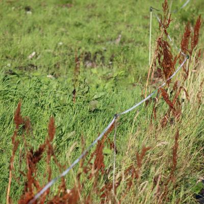 Bergen Skogsmaraton 2022