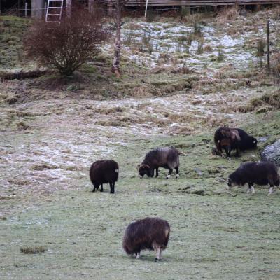 Februar Maraton 2022