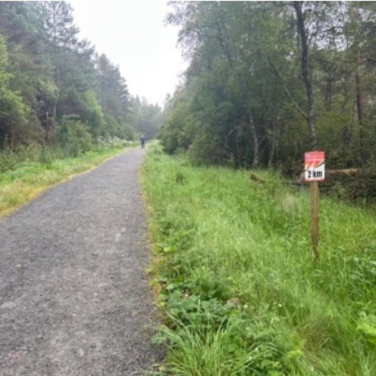 Løype Bergen Skogsmaraton_