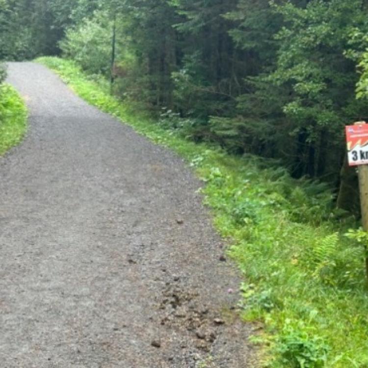 Løype Bergen Skogsmaraton_9